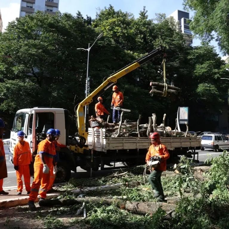 Fotografia de uma equipe de manutenção urbana em ação em uma rua de cidade. Um caminhão branco com guindaste amarelo está estacionado, carregando troncos de árvores cortadas na carroceria. Dois trabalhadores em uniformes laranjas e capacetes de segurança estão na carroceria manuseando troncos. No primeiro plano, um trabalhador com capacete vermelho usa uma motosserra para cortar um tronco no chão. Outros trabalhadores em uniformes laranjas e capacetes azuis estão em terra. Muitas árvores verdes frondosas e resíduos de poda no local. Ao fundo, prédios altos são visíveis sob um dia ensolarado.