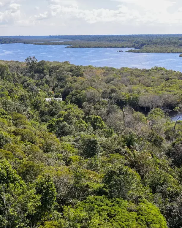 Vista aérea de uma floresta densa e verdejante margeando um rio largo e azul sob um céu com poucas nuvens.